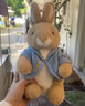 比得兔（Peter Rabbit）玩偶公仔抱枕彼得兔毛绒玩具公仔兔子玩偶婴儿玩具比得兔生日礼物 比得兔25cm 25*18*16 实拍图