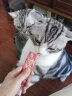 麦富迪 宠物猫零食猫条 成幼猫通用进口猫条混合味840g（14g*60支） 晒单实拍图