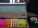 冰豹 德国ROCCAT瓦肯VULCAN 游戏背光机械键盘（电竞游戏键盘 吃鸡键盘 笔记本电脑键盘） 旗舰限定版-银白色(104键-RGB背光)茶轴 实拍图