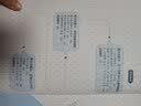 中国经典动画大全集：阿凡提的故事 儿童绘本 小学一二年级必读 睡前故事 实拍图