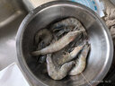 新食道青虾仁 新疆国产养殖大虾 远离海域 活冻白对虾 送礼佳品 新疆大虾4斤装 0斤(净重)  20/30 实拍图