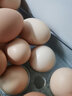 杞农优食【JD快递】可生食标准鲜鸡蛋 生鲜鸡蛋京东新鲜土鸡蛋超市礼盒装 可生食鸡蛋10枚装 实拍图