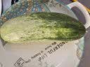 蔬农联（SHUNONGLIAN）海南哈蜜甜瓜香密瓜当季新鲜水果生鲜 5斤礼盒装 实拍图