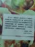 叙事疗法 实拍图