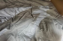 海澜之家（HLA）7A抗菌宿舍被子冬天棉被春秋被子被芯冬被超柔磨毛面料大豆纤维被 【7A抑菌 超柔抗菌】奶黄-白边 【春秋被】220*240cm/约6.0斤 实拍图