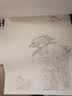 中国画白描入门篇 国画临摹画册 线描画册 临摹 手绘描摹本绘画 工笔画临摹画册 国画入门 工笔白描底稿临摹本禽鸟动物 艺术绘画零基础入门 实拍图