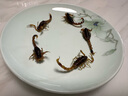 蝎子活全蝎正宗沂蒙山野性十足活蝎子食用活体毒蝎子油炸泡酒煲汤 100只成年公蝎5-6厘米送10只防死 实拍图