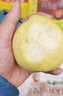 山西平遥冰糖酥梨 助农新鲜水果 出口级高原贡梨 皮薄肉厚汁水多 实惠中果带箱10斤（约18-22粒） 实拍图