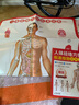 人体经络穴位标准挂图（男性）（3张）中医人体经络挂图 家庭保健养生医学 人体医学挂图 实拍图