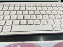 罗技（Logitech）MX Keys Mini无线蓝牙键盘充电办公ipad键盘Mac 薄膜超薄迷你妙控键盘智能背光type-c双模键盘跨屏 玫瑰粉 实拍图