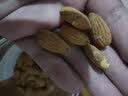 憨豆熊 巴旦木仁 大杏仁袋装坚果零食干果仁扁桃仁肉散装批发罐装多规格 【4斤】原味巴旦木仁500g*4罐 实拍图