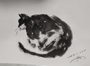 中盛画材100张160g/A4素描纸 加厚彩铅画纸 素描速写专用纸 练习用绘画大白纸美术写生 实拍图