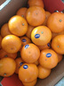 玫栀 【顺丰速运】甜弯弯沃柑爆甜橘子桔子现摘桔茂谷柑易剥 大果礼盒装 10斤 实拍图