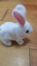 亦趣电动兔子小白兔毛绒玩具会跑会叫好玩女孩3岁儿童生日礼物 小兔子(白) 实拍图