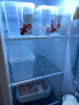 百露食品级冰箱收纳盒保鲜盒厨房蔬菜水果专用整理神器冷冻鸡蛋饺子盒 超值A款2个装 实拍图