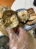 京鲜港 面包蟹 熟冻超大 英国进口满黄大螃 海鲜水产黄金特大只 800-1000g/只 晒单实拍图