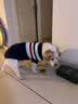 獒少保狗狗衣服 宠物衣服秋冬装  无袖中大型犬毛衣 金毛萨摩边狗毛衣 蓝色 20码胸围40-46适合20-40斤狗狗 实拍图