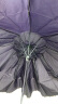 天堂 双人雨伞三折强抗风易甩干男女商务晴雨伞64*10骨 3311E深紫色 实拍图