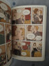 遗产 法国安古兰年度大奖作品 露图莫丹著 图像小说类欧漫美漫漫画书籍 后浪漫图像小说 实拍图