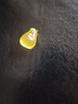 微景观创意仿真发夜光水果之家萌粒 diy装饰品盲袋配件迷你小摆件 微景观水果小摆件【梨子】 实拍图