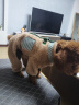 COCS狗狗衣服保暖加绒猫咪衣服冬季中小型犬泰迪博美棉衣四脚带牵引扣 卡其色 M（建议体重6-8斤） 实拍图