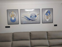 瑞尚（RUISHANG） 轻奢客厅装饰画大气抽象沙发背景墙挂画现代简约别墅三联画 锦绣福鹿A 左右60*80+中110*80晶瓷面黑框 实拍图