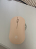 惠普（HP）DM10 无线蓝牙双模鼠标 商务办公无线鼠标苹果笔记本微声蓝牙便携式无线鼠标 奶茶色 实拍图