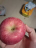 京鲜生 陕西洛川苹果红富士5kg 单果200-260g 生鲜 新鲜水果 晒单实拍图