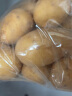 家美舒达山东农特产 滕州土豆 洋芋 2.5kg 新鲜蔬菜  烧烤食材 实拍图