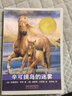 纽伯瑞大奖少年小说：辛可提岛的迷雾  3-6岁（启发出品） 实拍图