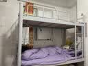 山威上下铺铁床高低床宿舍员工公寓床学生寝室双层铁艺床1000宽送床板 实拍图