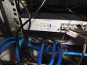 华三（H3C）24口千兆交换机 非网管企业级交换器 机架式网络网线分流器 S1224R 晒单实拍图