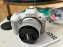 佳能（Canon）EOS R50 入门级微单反 半画幅数码相机 4k美颜小巧便携 EOS R50(RF-S 18-45套装）白旅行版 晒单实拍图