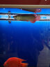 仟湖龙鱼饲料红龙鱼金龙鱼专用鱼粮热带鱼通用鱼食增色增体1千克小粒 实拍图