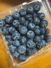 怡颗莓Driscoll's 云南蓝莓14mm+ 4盒装 125g/盒 新鲜水果 晒单实拍图