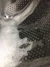 ONEFULL洗衣机清洗剂洗衣机清洁泡腾片杀菌除垢去味波轮滚筒洗衣机清洁剂 60粒/盒 实拍图