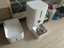 米家小米智能宠物饮水机2 猫咪饮水机喂水器自动循环猫喂水机 米家智能宠物饮水机 2 实拍图