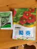 小镇有花蜀葵种子2克约180粒草花种子四季播花卉一丈红盆栽庭院播种花种子 实拍图