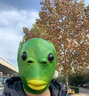 克罗米绿头鱼网红鱼头套绿头怪年会绿鱼头套搞怪万圣节面具COS表演道具 绿头怪面具 实拍图