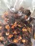 秋享加拿大北极红参花海参花海宝 采用加拿大进口鲜海参花加工制作 250g 实拍图