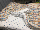 雅鹿牛奶绒四件套冬季加厚保暖法兰绒被套床单珊瑚绒被罩床笠床上用品 爱心兔蓝【双面绒 加厚保暖】 1.8m床单款四件套-被套200*230cm 实拍图