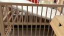 巴布豆（BOBDOG）婴儿床多功能床 可移动 宝宝床亲子床新生儿床实木床边床拼接大床 【标准款带延边】床+椰棕床垫 晒单实拍图
