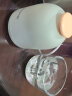 九阳 Joyoung 婴儿辅食机 小型多功能打泥搅拌机宝宝料理机 家用迷你绞馅碎肉机高硼硅玻璃S3-LA166(S) 实拍图