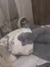 南极人（Nanjiren）牛奶绒被子冬被棉被冬季被子宿舍单人冬天加厚秋冬被子被褥被芯 字母小狗【雪花绒+羊羔绒】 180x220cm加厚冬被约8斤 实拍图