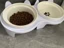 卉亦暮猫碗陶瓷猫食盆猫咪饭碗双碗斜口狗碗喝水碗保护颈椎防打翻 猫爪碗【单碗】 实拍图