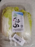 小汤山 北京 娃娃菜 400g 基地直供新鲜蔬菜 实拍图