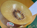 佳沛（zespri）新西兰阳光金奇异果12粒礼盒特大果单果约124-146g水果猕猴桃 实拍图