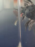 sobo鱼缸氧气泵养鱼增氧机充氧泵家用小型制氧机氧气机鱼用充氧器低音 718单孔4W全套配件+气饼 实拍图