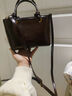 京智今年流行包包女秋冬百搭2025新款潮时尚斜挎手提小拎包水桶包 咖啡色【送挂件】 实拍图