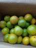 吉果叔 正宗广西茂谷柑 应当季新鲜水果薄皮脏脏柑橘石灰柑橘子整箱 净重4.5-5斤 【中大果】果径65-70mm 实拍图